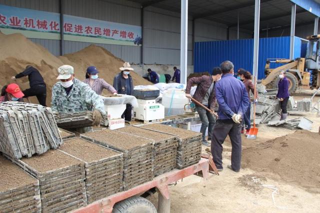 湖北阳新县:农业生产经营主体全面复工复产